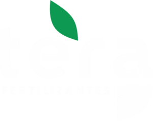 TERA FETIZANTES